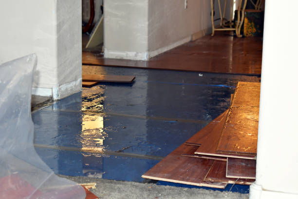 Professional Burst Pipe Cleanup technician working in Sanger, TX